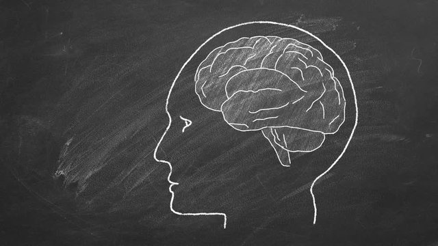 Chalk drawn human head with brain  on blackboard.