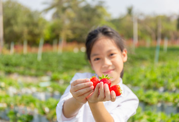 Selective focus of Happy girl child holding fresh red organic strawberries in the garden