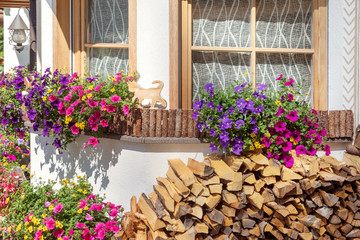 Window decorated with petunias and other flowers and firewood, South Tyrol, Italy