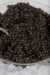 CAVIAR