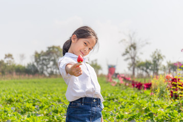 Selective focus of Happy girl child holding fresh red organic strawberries in the garden