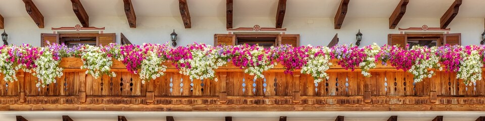 Balcony boxes with petunias of different colors decorate a large balcony in South Tyrol, Italy - obrazy, fototapety, plakaty