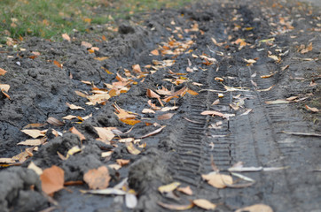 Wheel tracks in the mud. Machine track. Off-road. Fallen autumn leaves