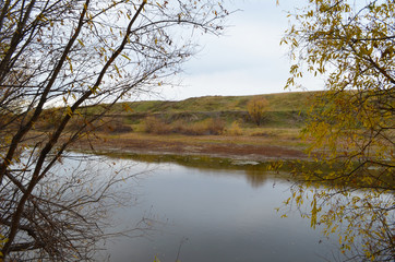 Fototapeta na wymiar River and trees. Hilly terrain. Autumn nature, fallen leaves and rainy sky.