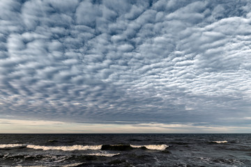 Naklejka na ściany i meble Baltic sea in cloudy and windy day.