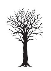 Obraz premium Black silhouette tree with large trunk
