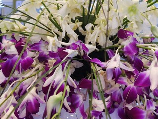 Bunch of purple and white orchids  for Valentine's day  or Mother day or Woman day post card or...