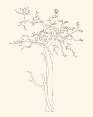 Old crooked tree without leaves black outline