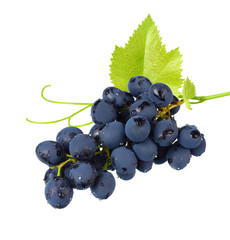 blue grapes berries with leaves isolated on white background