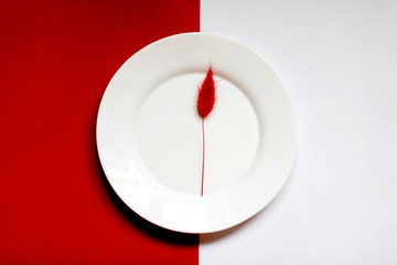 Red sprig of dried flowers on a plate