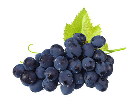 blue grapes berries with leaves isolated on white background