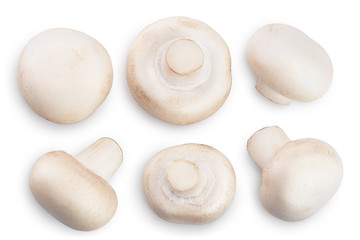 Fresh mushroom champignon isolated on white background with clipping path. Top view. Flat lay.