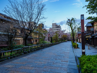 早朝の祇園白川の石畳