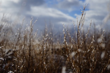 Obraz premium Winter fields on a snowy day