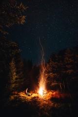Young female sitting on chair in the wilderness forest near the big campfire under the milkyway.  - obrazy, fototapety, plakaty