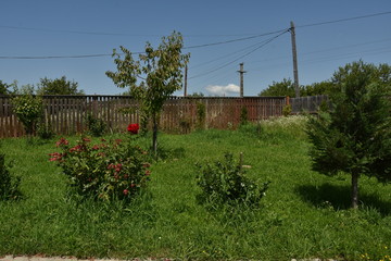 Bistrita, summer landscape in Stramba 2019,ROMANIA