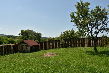 Fototapeta na wymiar Bistrita, summer landscape in Stramba 2019,ROMANIA