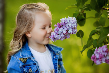 little girl in a denim suit walks in the lilac garden in the spring