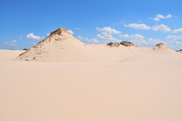 Fototapeta na wymiar Dunes in Slowinski National Park called Polish Desert near Leba, Poland