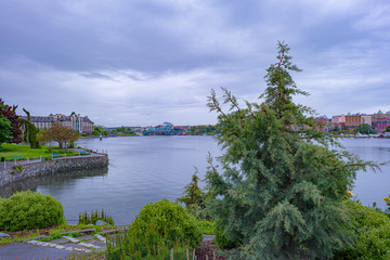 Fototapeta premium Landscape with Harbor and Trees