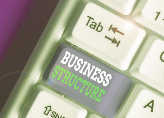Conceptual hand writing showing Business Structure. Concept meaning Organization framework that is...