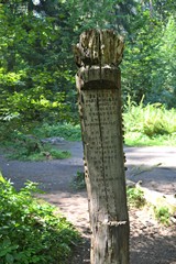 Miejsce Mocy, Białowieża