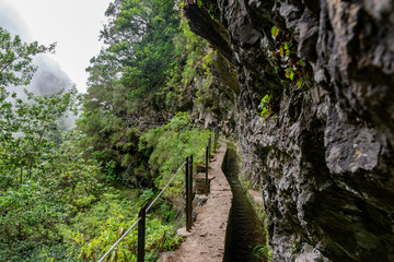 Fototapeta premium Foggy hiking path in the forest in Levada do Caldeirao Verde Trail, Madeira island, Portugal.