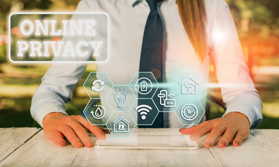 Text sign showing Online Privacy. Business photo showcasing involves the control of what...
