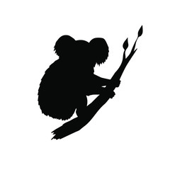 Vector hand drawn doodle sketch koala silhouette sitting on tree branch isolated on white background © Sweta