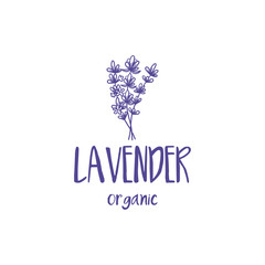 Template logo design of beautiful abstract lavender flower. Vector illustration