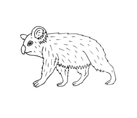 Vector hand drawn doodle sketch koala isolated on white background