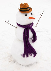 Snowman with Hat and scarf Carrot Nose 