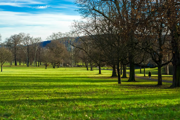 Spacious spring park with green lawn and sunny weather.