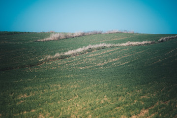 Fototapeta na wymiar rural landscape with empty fields