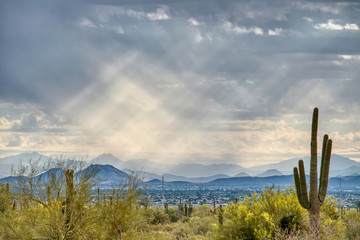 White Tank Mountain State Park Near Phoenix Arizona
