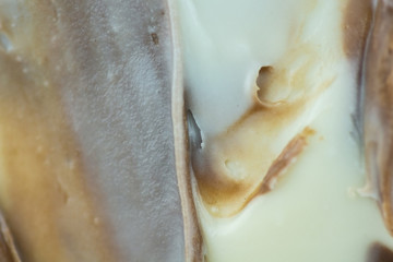 texture of milk-nut paste, close-up shooting.