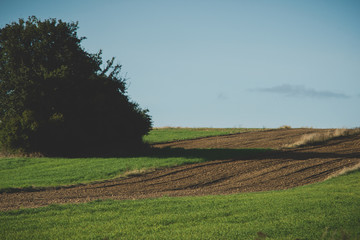 Fototapeta na wymiar rural landscape with fields