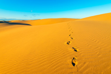Footprints in Sand Dunes of Maspalomas Gran Canaria Spain