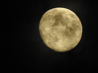 Obraz premium Moon