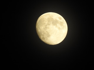 Moon