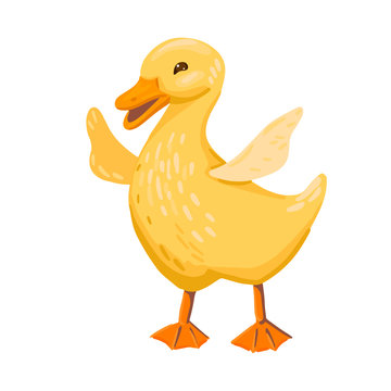 The little duckling flaps its wings. Yellow bird Vector character on white background