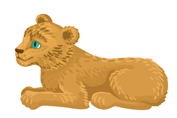 Lion cub lie. Vector flat cartoon style illustration