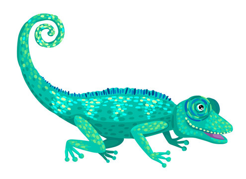 Chameleon lizard, wild tropical animal. Vector isolated illustration in cartoon flat style.