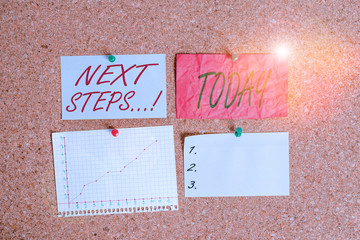 Conceptual hand writing showing Next Steps. Concept meaning something you do after you have...