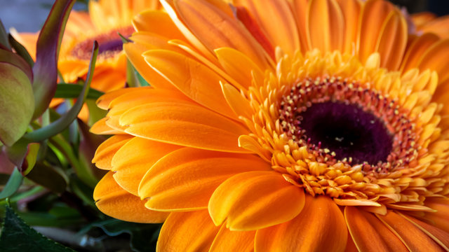 Blumenstrauß mit orange Gerbera Teilaufnahmen