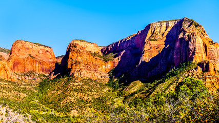 View of Nagunt Mesa, Shuntavi Butte and other Red Rock Peaks of the Kolob Canyon part of Zion National Park, Utah, United Sates. Viewed from the Timber Creek Lookout at the East Kolob Canyon Road