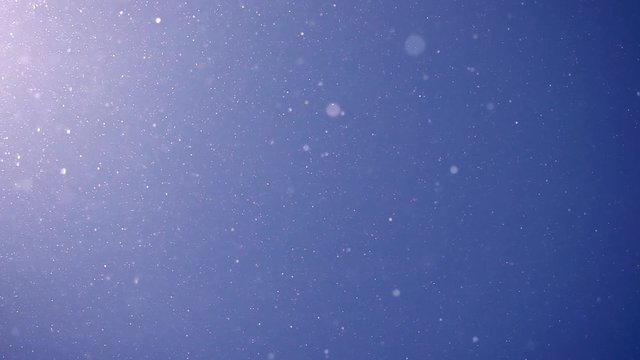 Pollen and dust flying in the air like snowflakes against blue sky background. Super slow motion shot. Natural light and texture.