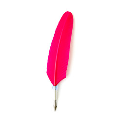 Writing feather isolated on white