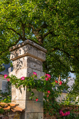 Fototapeta na wymiar roseraie des Jardins de Valloires