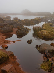 The Roaches on a foggy winters day
